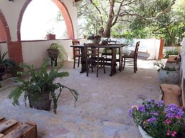 The Mountain Gardens