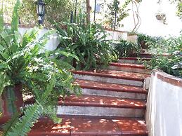 The Mountain Gardens