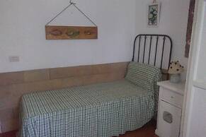 The Mountain Gardens