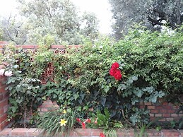 Il Giardino sul Mare