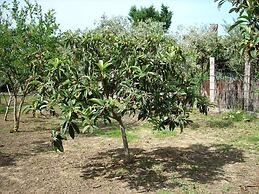 Il Giardino sul Mare
