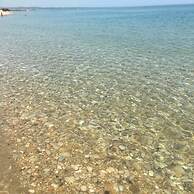 Single Room for Rent With Private Bathroom