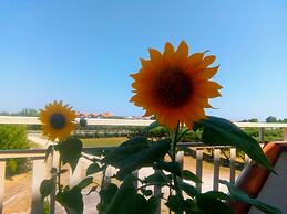 6-bed Room for Rent With Private Bathroom - Molise