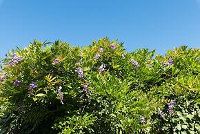 Masseria Il Roseto ai Cappuccini