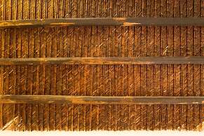 Viceré Speciale Holiday Home