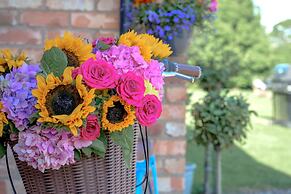 Saughall Mill Farm Cottage