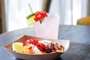 Moxy Austin - University