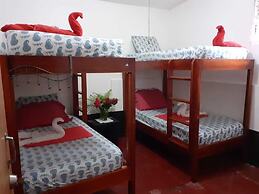 Drifters at One Mile - Hostel