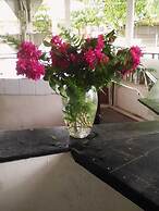 Drifters at One Mile - Hostel