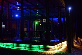 Nyungu Yamawe Forest Park