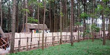 Nyungu Yamawe Forest Park