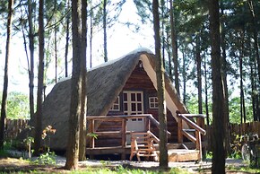 Nyungu Yamawe Forest Park