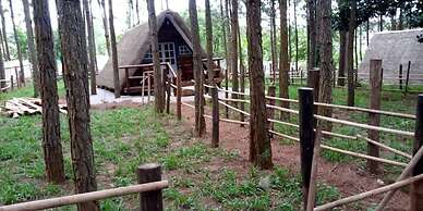 Nyungu Yamawe Forest Park