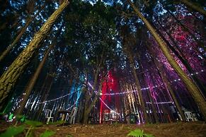 Nyungu Yamawe Forest Park