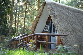 Nyungu Yamawe Forest Park