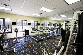 Paradise Palms by PRP