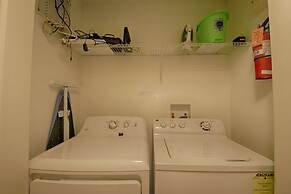 Paradise Palms by PRP