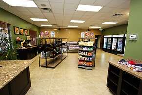 Paradise Palms by PRP