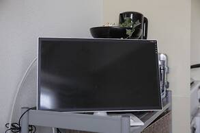 Exsaison Shirokita 506