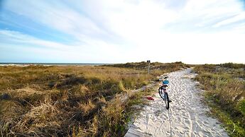 Purple Parrot - 200 Leonora Ct