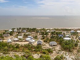 Purple Parrot - 200 Leonora Ct