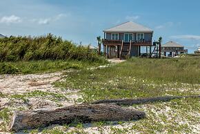 The Blue Crab - 2432 Bienville