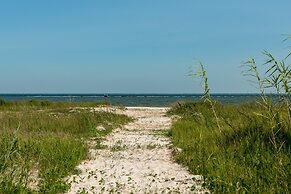 The Blue Crab - 2432 Bienville