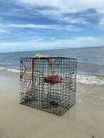 The Blue Crab - 2432 Bienville