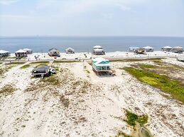 Salty Seahorse -2822 Bienville