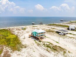 Salty Seahorse -2822 Bienville