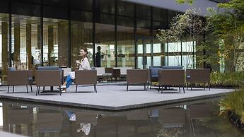 THE BLOSSOM KUMAMOTO