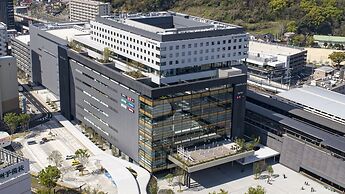 THE BLOSSOM KUMAMOTO