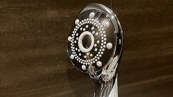 THE BLOSSOM KUMAMOTO