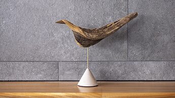 THE BLOSSOM KUMAMOTO