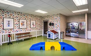 Global Luxury Suites East Boston