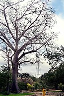 Full Hacienda Santuario Noc Ac