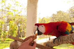 Full Hacienda Santuario Noc Ac