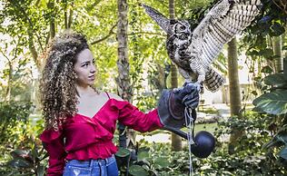 Full Hacienda Santuario Noc Ac