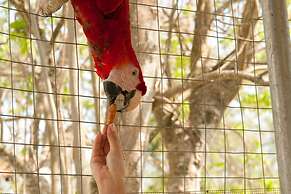 Full Hacienda Santuario Noc Ac