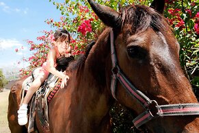 Full Hacienda Santuario Noc Ac