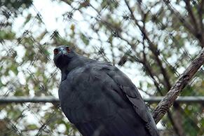 Full Hacienda Santuario Noc Ac