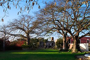 Full Hacienda Santuario Noc Ac