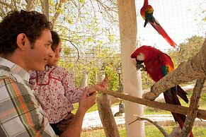 Full Hacienda Santuario Noc Ac