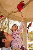 Full Hacienda Santuario Noc Ac