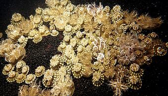 Hotel Indigo Omaha Downtown by IHG