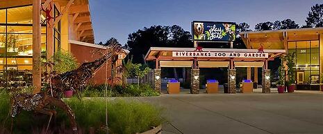 Holiday Inn Express & Suites Columbia Downtown - The Vista by IHG