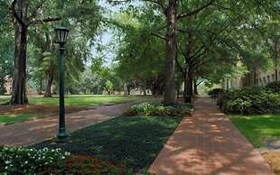 Holiday Inn Express & Suites Columbia Downtown - The Vista by IHG