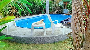 Swiss Chalet Garden Pool Resort