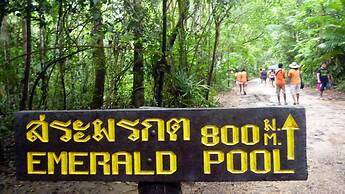 Swiss Chalet Garden Pool Resort