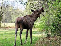 4 Person Holiday Home in Uddevalla